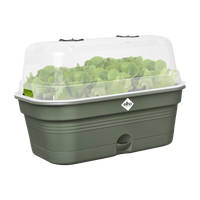 green basics grow tray allin1 m leaf green